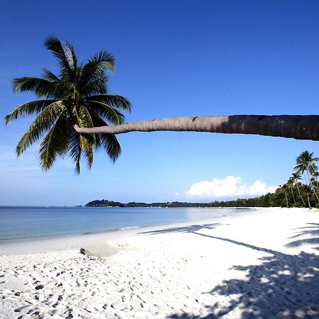 Nirwana Beach Club Lagoi Luaran gambar